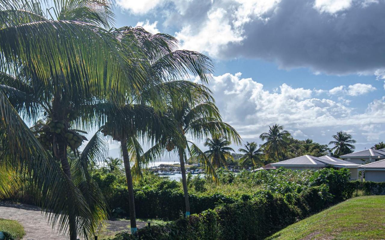 Superbe Studio A La Baie Des Pelicans Le Gosier  Buitenkant foto